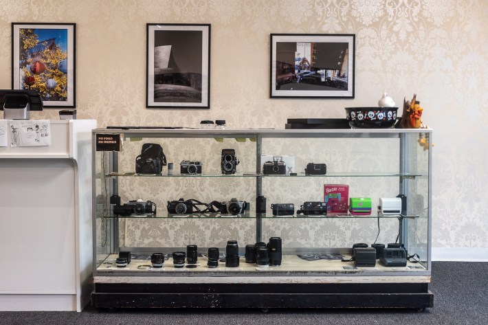 cameras on display at a film shop