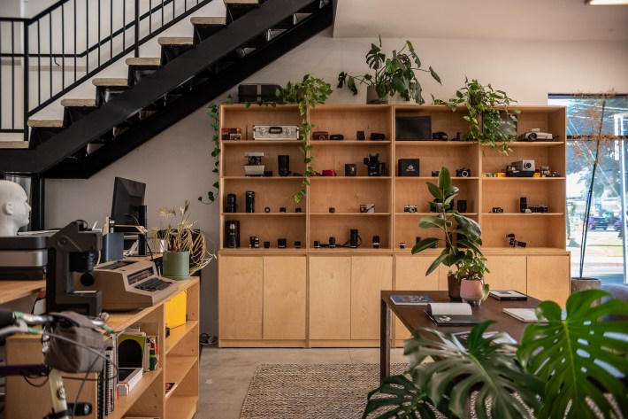 inside of a room lit with natural light. plants in pots and camera lens decorate the room
