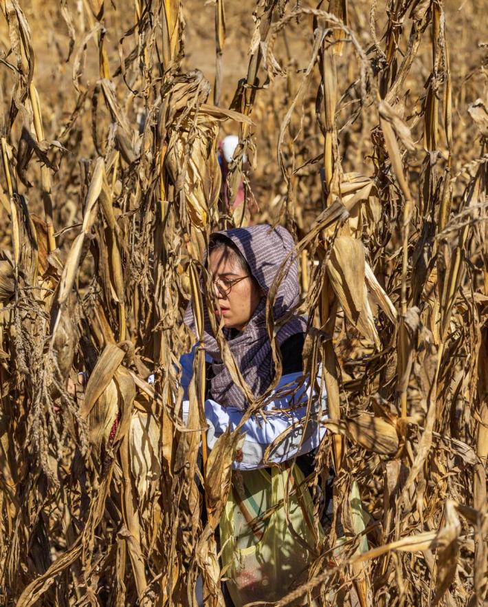 Xrys Ruelas, co-owner and chef at Xokol, in the corn fields in Mazahua, Mexico State.