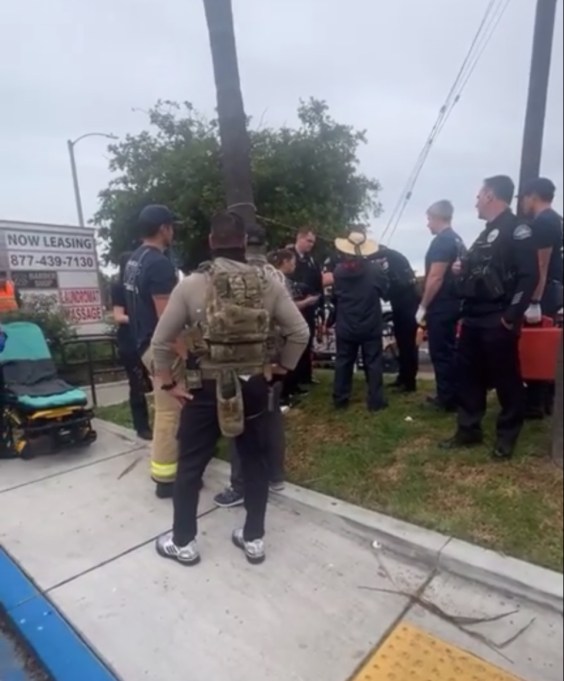 DAILY MEMO: Border Patrol Returns On Dia De Los Reyes, Taking at Least Eight in Orange County and Injure Elderly Man