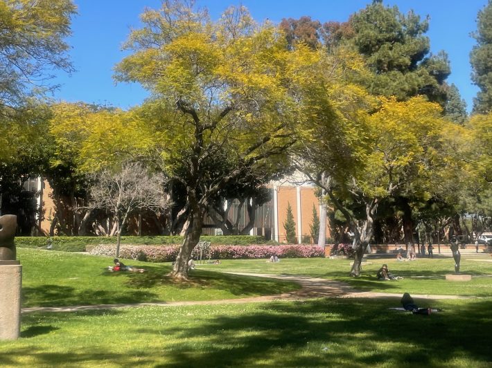 students in a sculpture garden