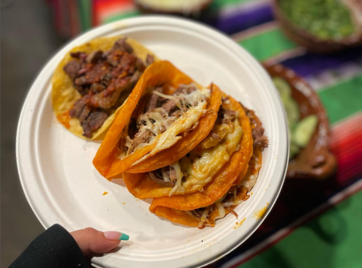 A manicured hand holds a paper plate of three cheesy tacos