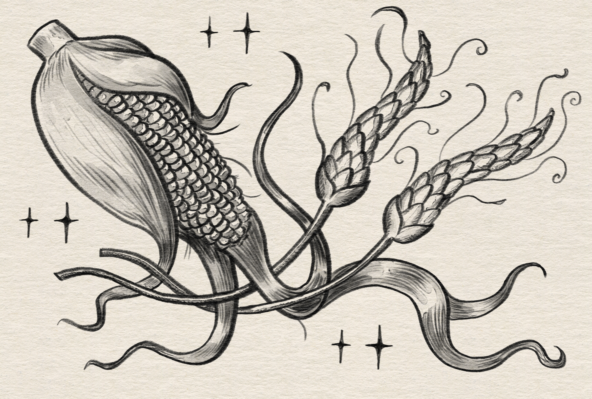 an illustration of a corn cob intertwining with two strands of wheat