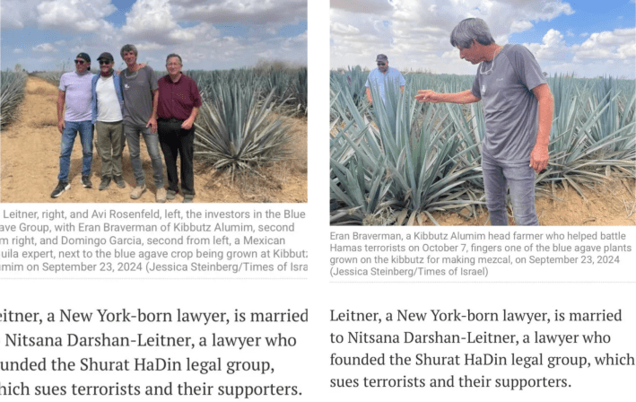 (left) four men posing in a desert; (right) a man observes an agave plant