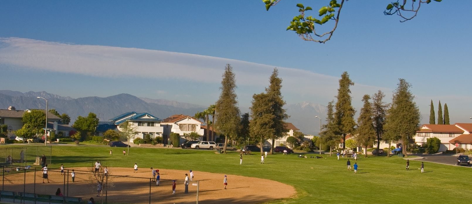 lede-admin.lataco.com image