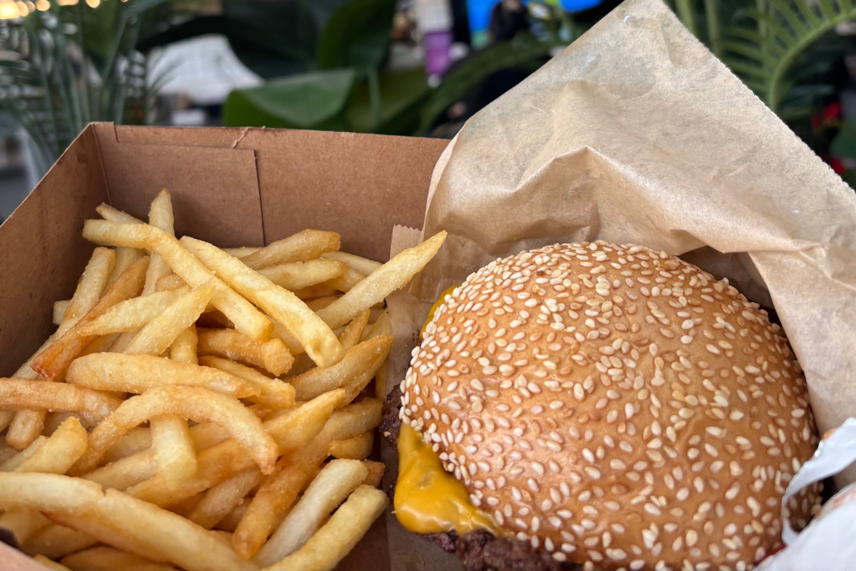 a burger and fries