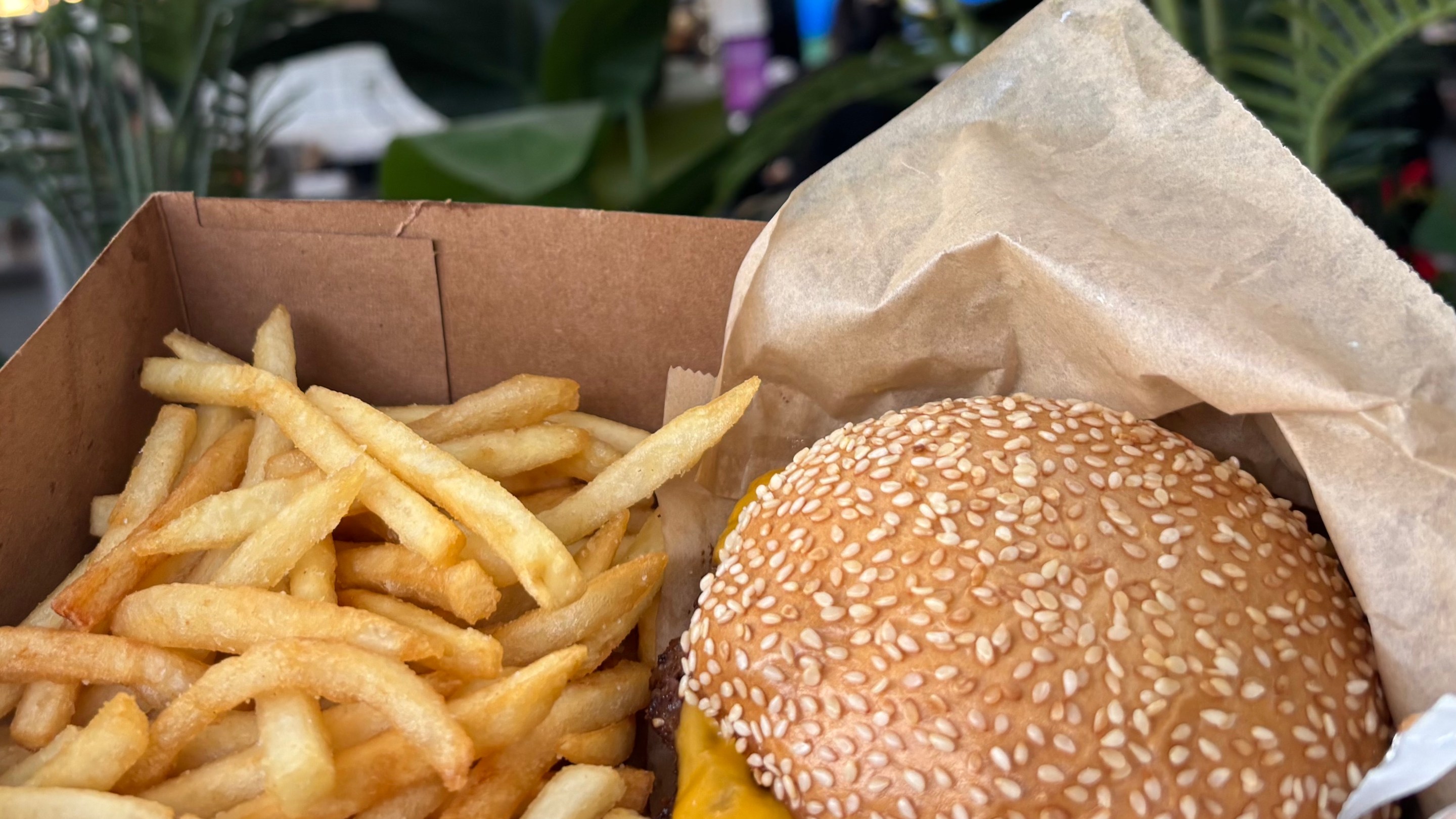a burger and fries