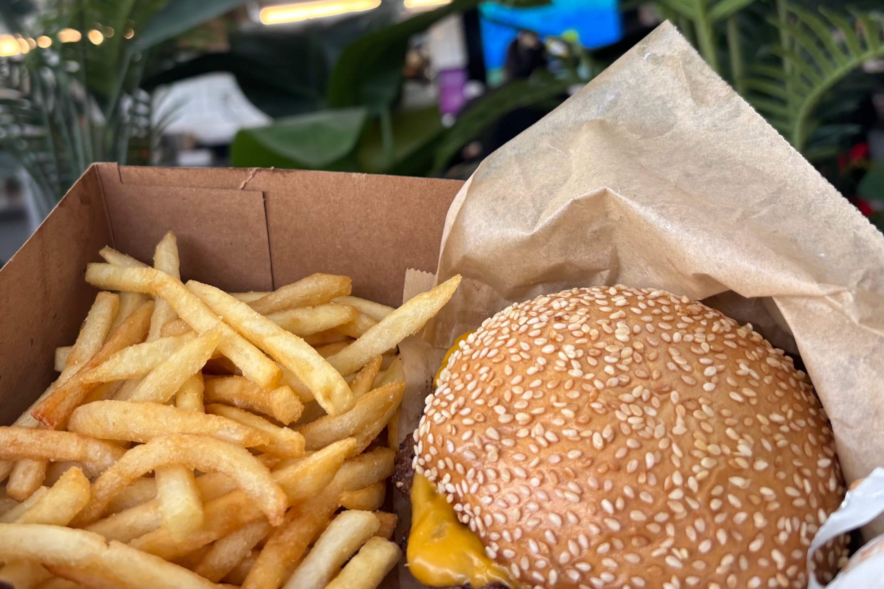 a burger and fries