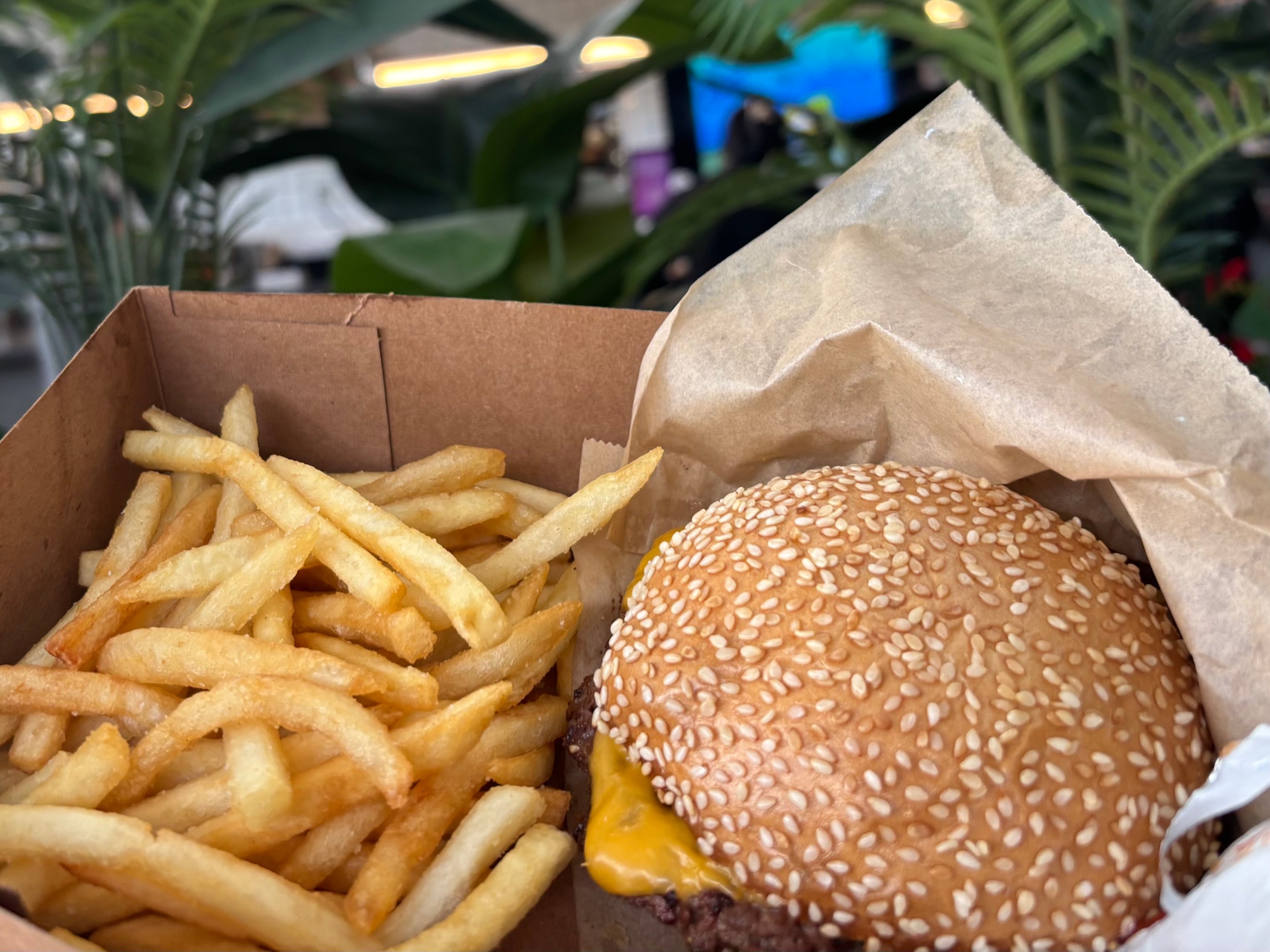 a burger and fries