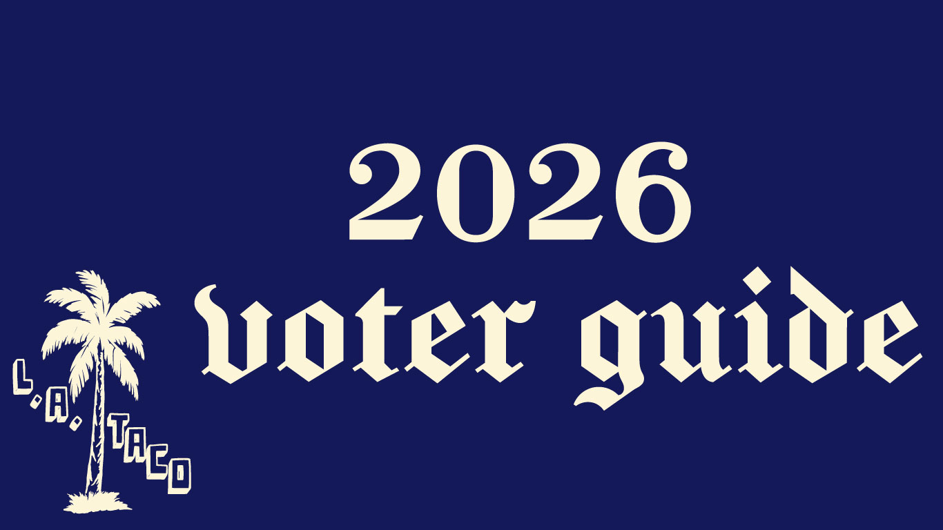 a navy background with text saying "2026 Voter Guide"