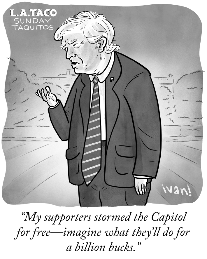 a cartoon of President Donald Trump