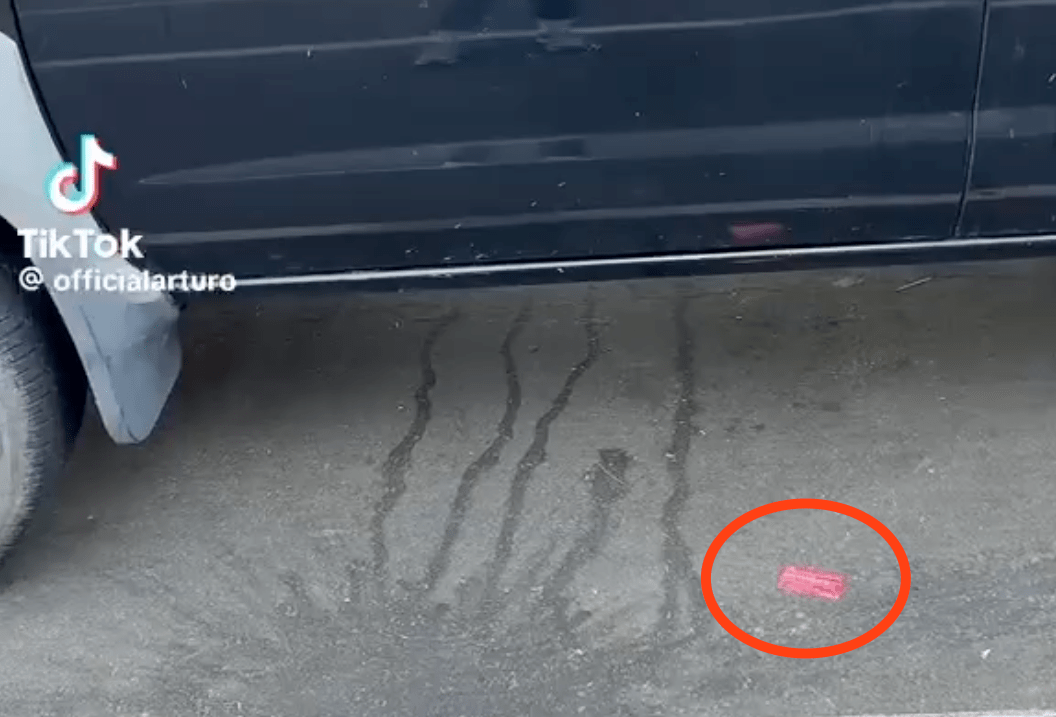 A red Know Your Rights card on the ground, in a screenshot from TikTok