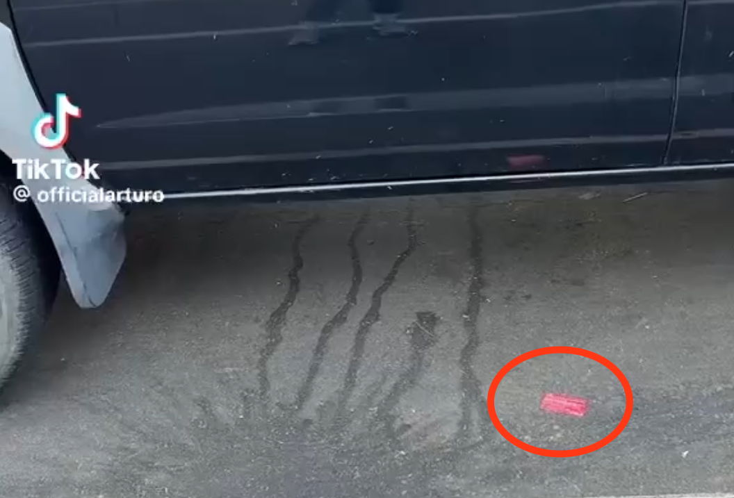A red Know Your Rights card on the ground, in a screenshot from TikTok