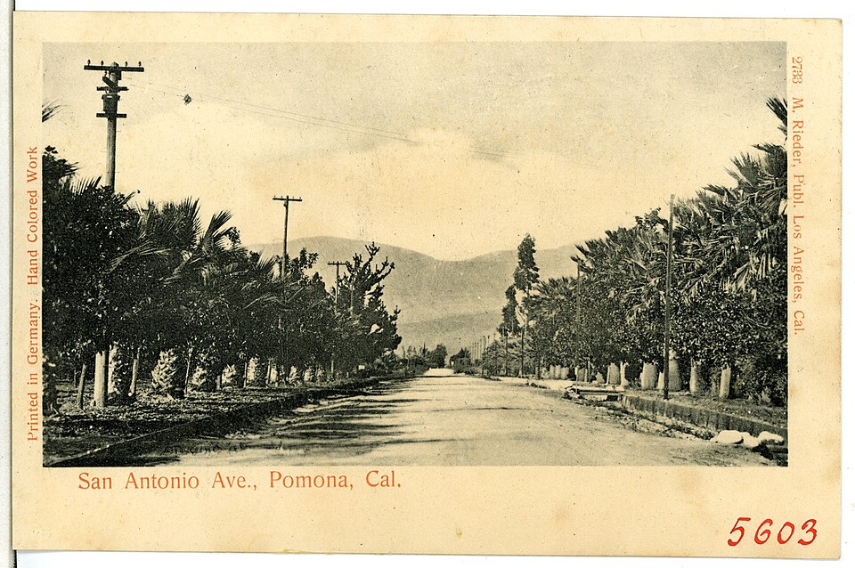 an old postcard from 1904 Pomona
