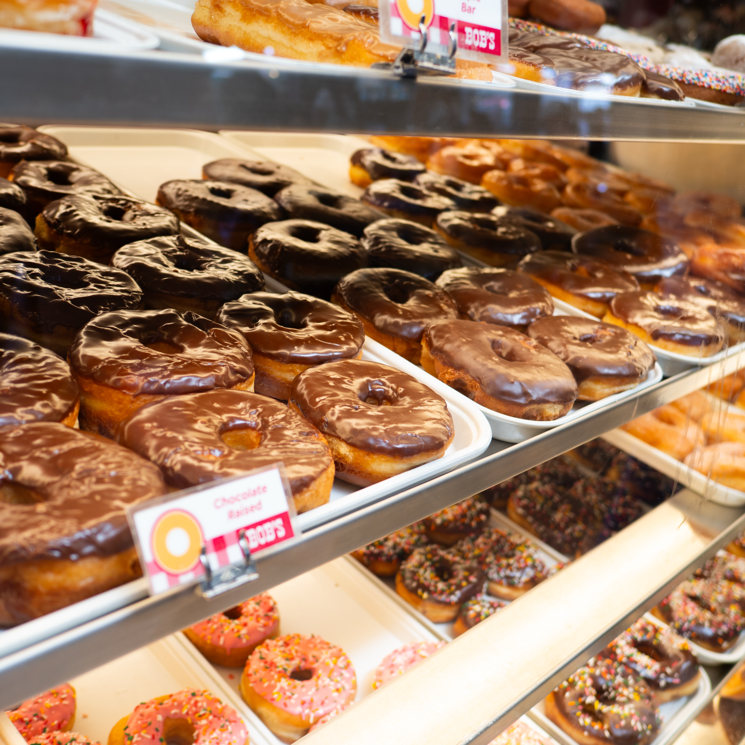 donuts in a display case