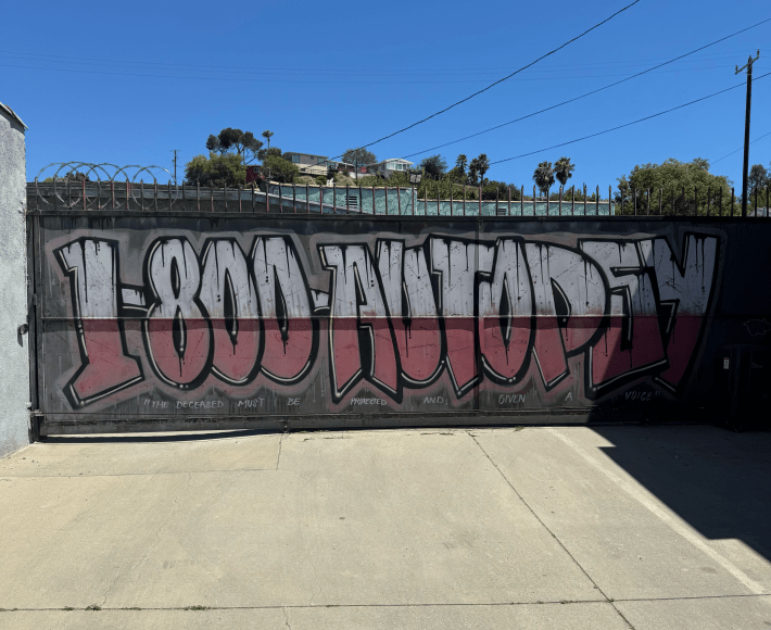 a graffiti mural reading "1-800-AUTOPSY"