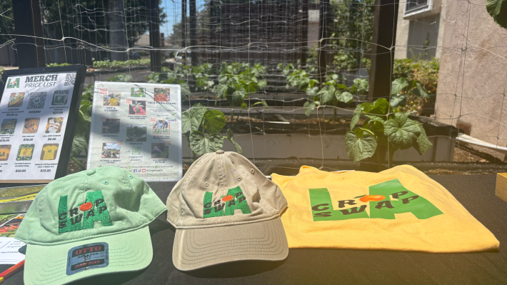 hats, shirt, prints