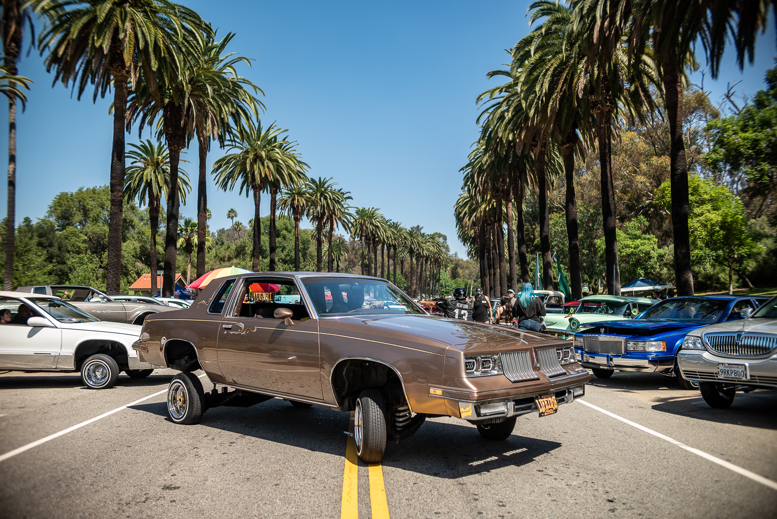 a brown classic car in the middle of a palm tree-lined road