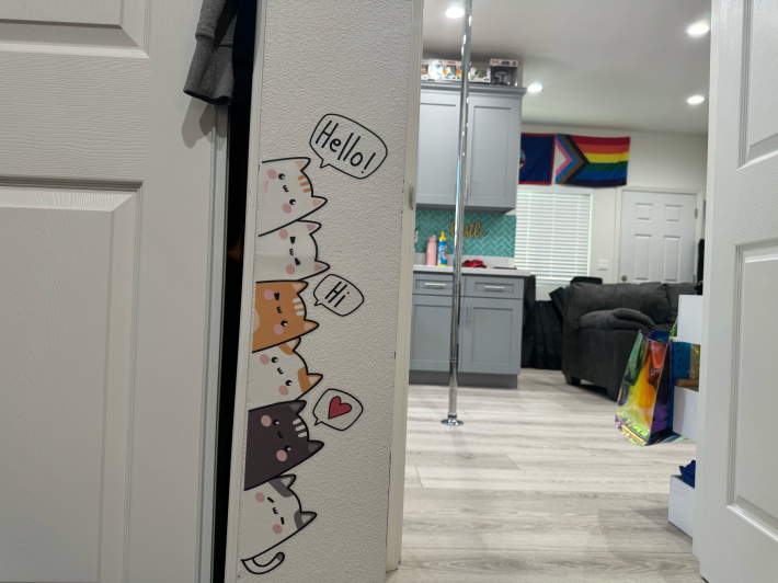 the inside of a home with a dancing pole, couch, pride flag, and cat decals on the wall