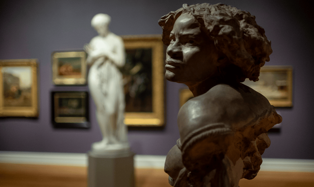 a bust of a woman in an art gallery