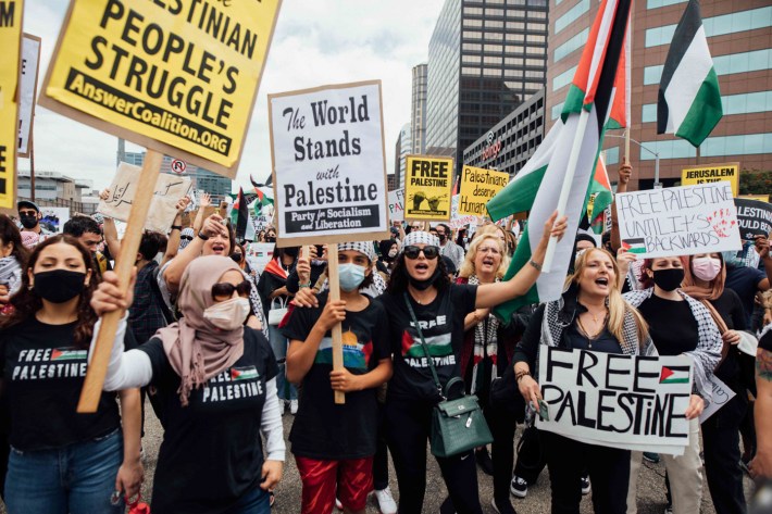 Protestors holding signs that read "the world stands with Palestine" and "free Palestine."