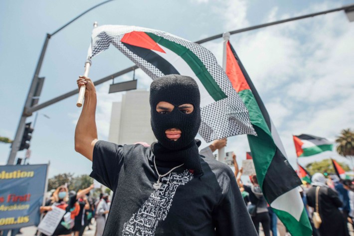 Portrait of a protestor holding a flag wearing a ski mask.
