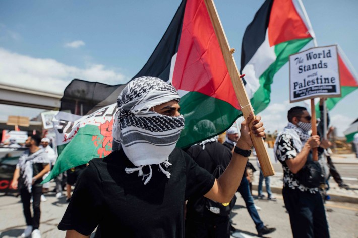 A protestor holds a flag as they march.