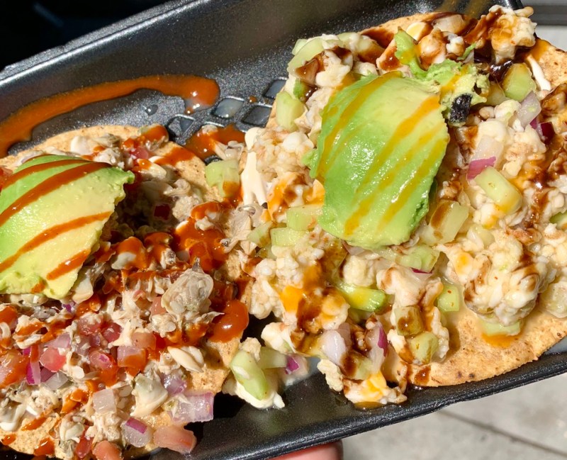 Cefishe tostadas