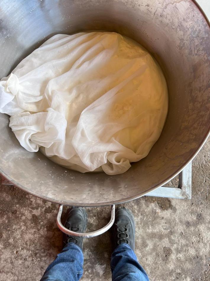 The quesillo cheesemaking process in Etla, Oaxaca. Photo by @Oaxacking/IG.