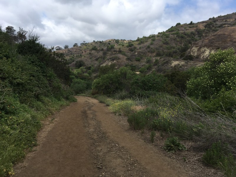 Arroyo Pescadero Trail.