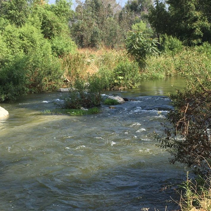 'Marrano Beach' at Bosque Del Rio Hondo.