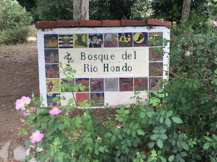 Bosque Sign.