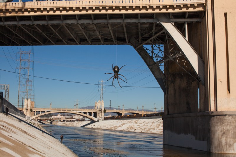 Bridge_Spider-5