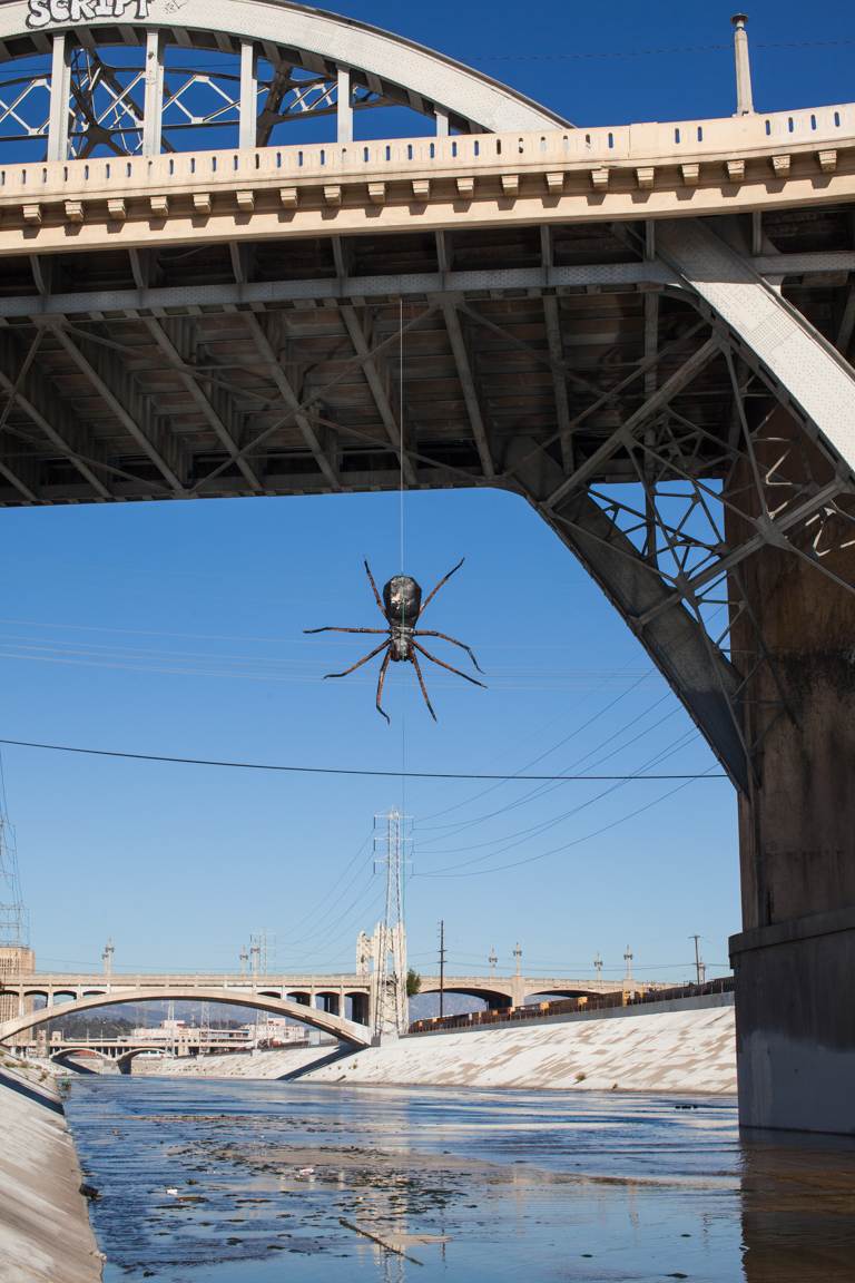 Bridge_Spider-8