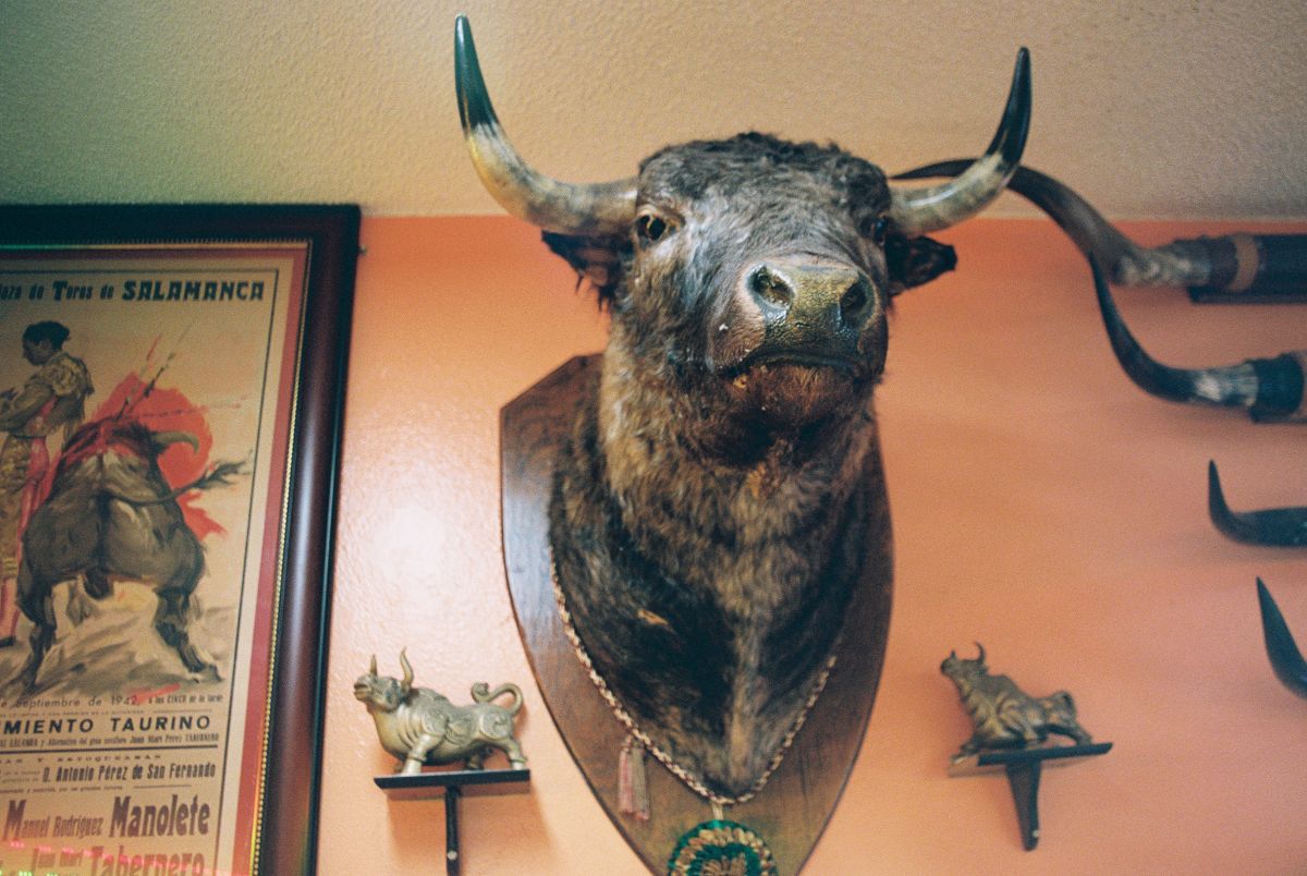 Taxidermy inside El Taurino.