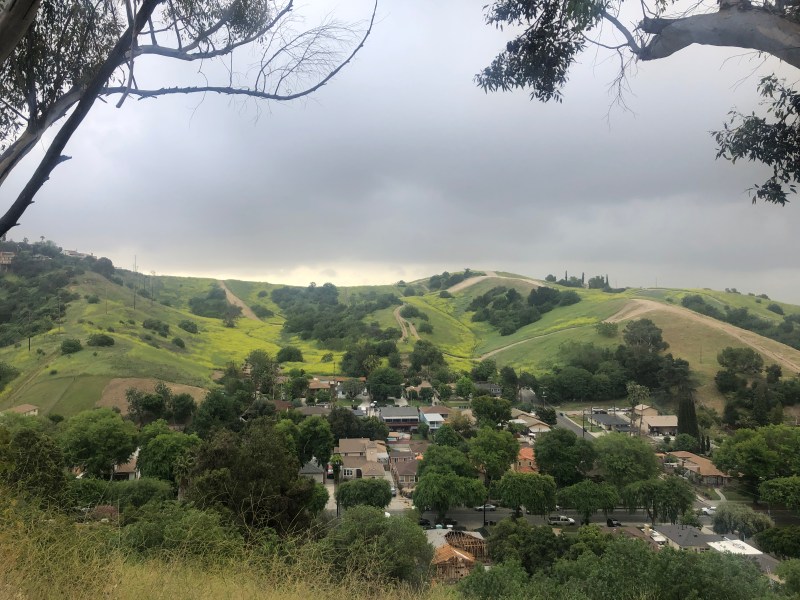 Elephant Hill today. Photo by Kamren Curiel for L.A. TACO.