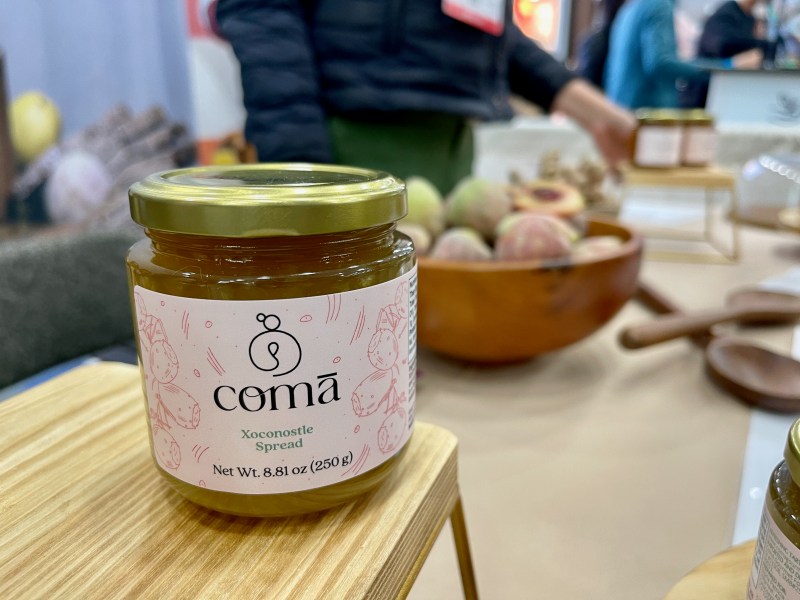 xoconostle jam 