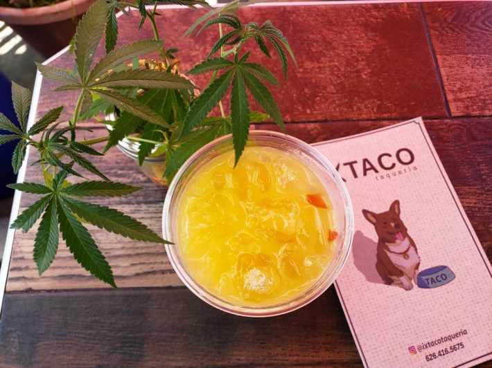 Ixtaco Taquería's CBD-infused agua fresca. Photo via L.A. TACO archives.