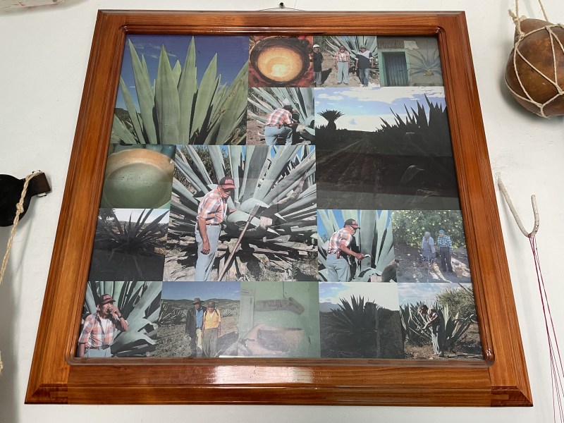 The pulque process photographed and framed. 