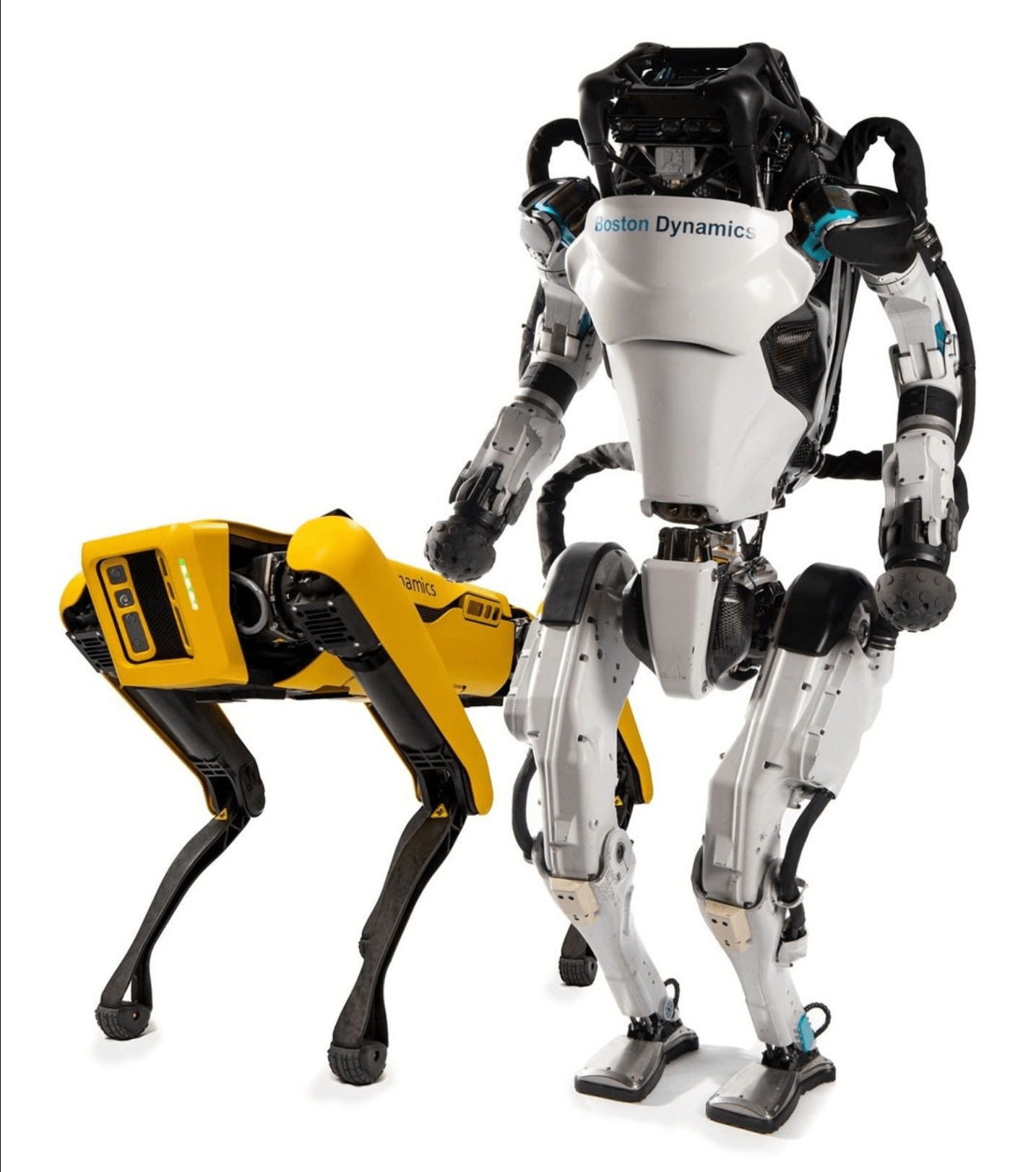 robot dog boston robotics
