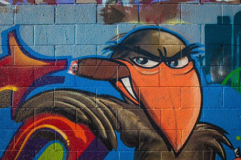 THC_Production (4 of 5)