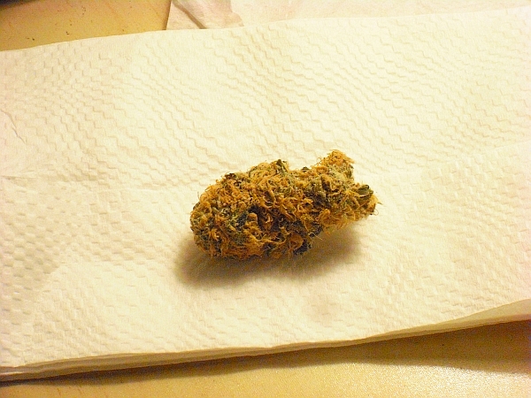 buddhas-cheese buddhas-cheese