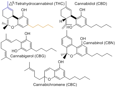 cannabinoid