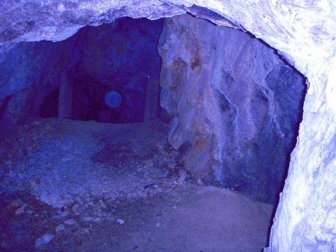 dscn0308 dscn0308