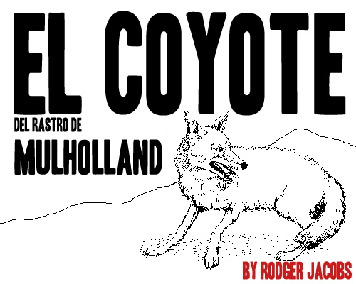 el_coyote