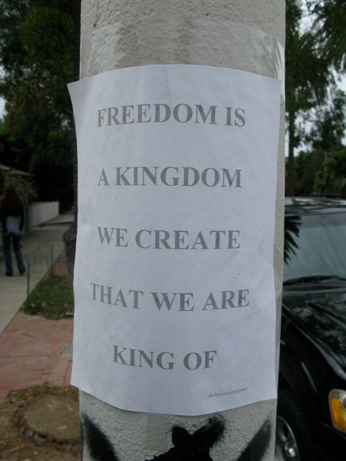 freedom freedom