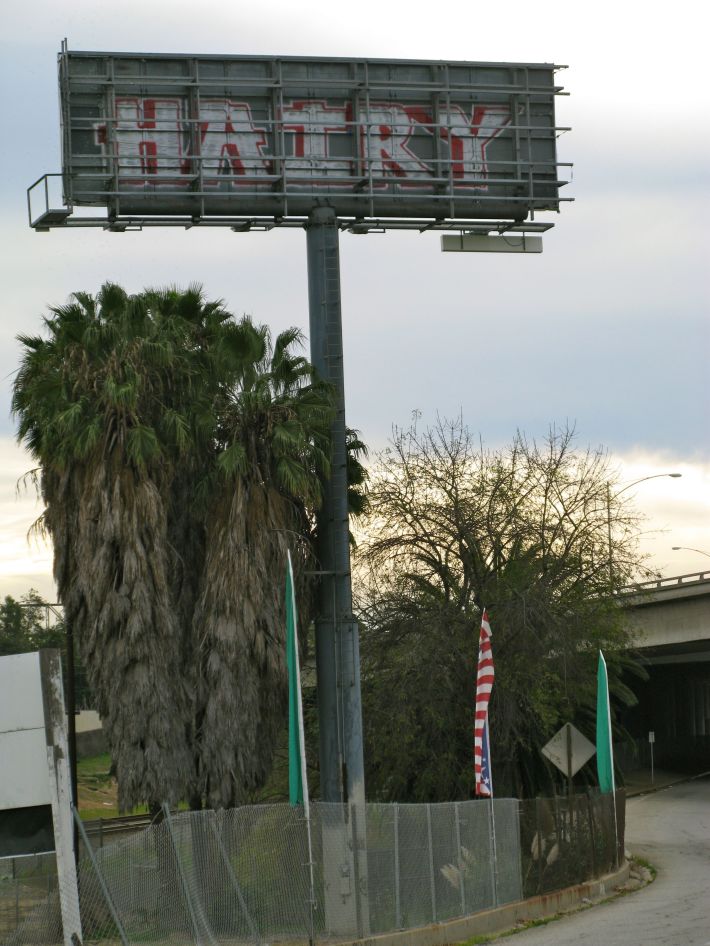 hairy1
