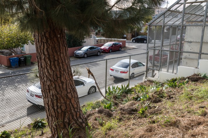 Hollenbeck Middle School looking south toward Inez Street. Photo by Jared Cowan for L.A. TACO.