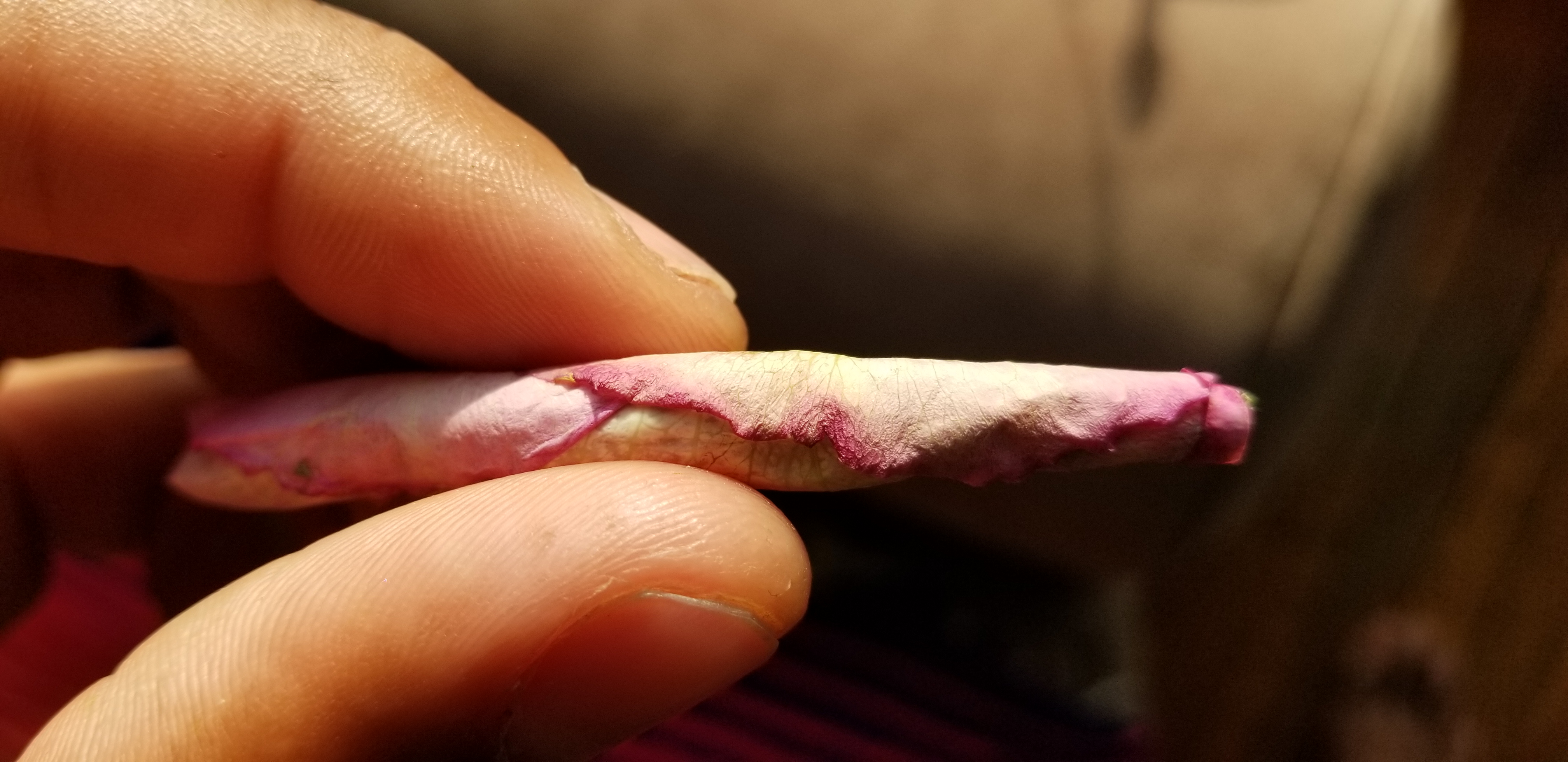 Cannabis City: How to Roll a Rose Blunt ~ L.A. TACO