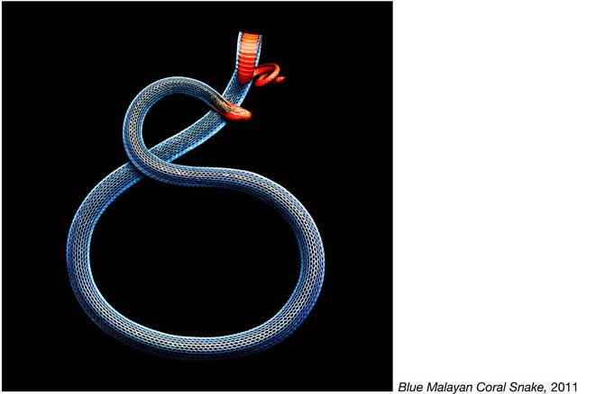 serpentine_6